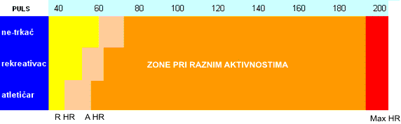 Srčani puls fotografija puls01 Srčani puls