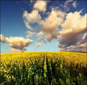 Vojvodina