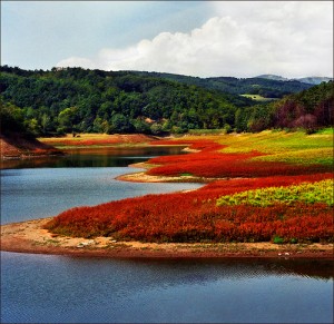 borsko jezero
