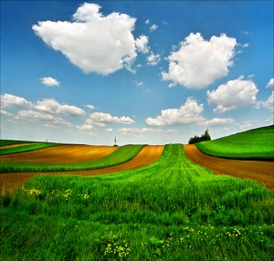 vojvodina 1
