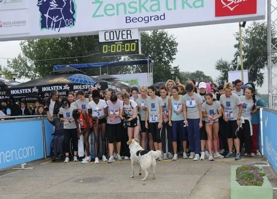 Ženska trka 2008. Foto: Beogradski maraton