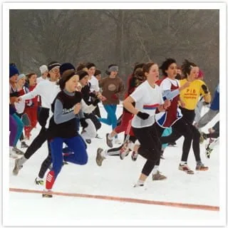 Beli kros - Košutnjak