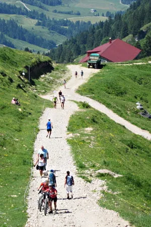 alpi-veroljub-silazak