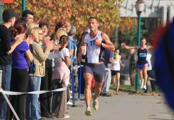 zdravko misovic