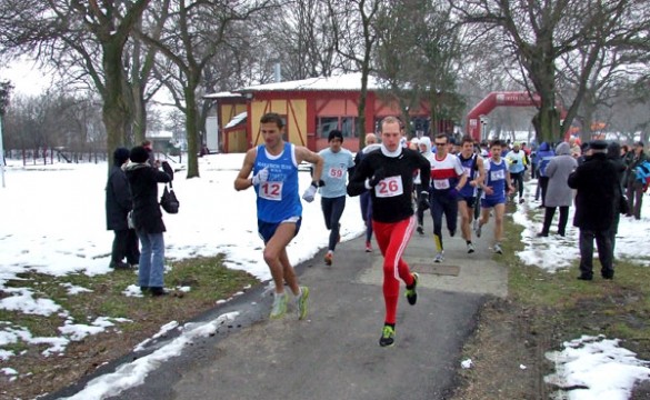palic-2011