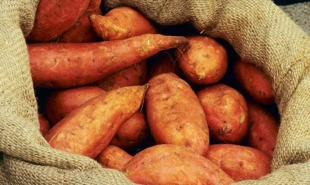 minerali za trkače - kalijum