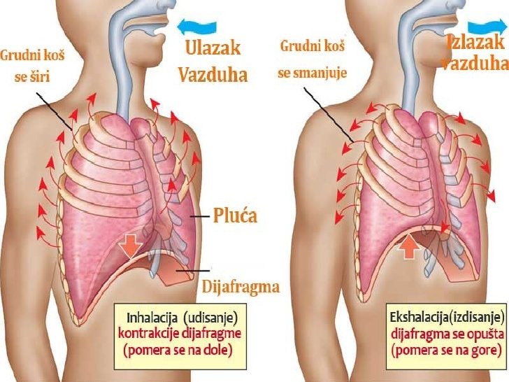 disanje dijafragma - kako da dišem