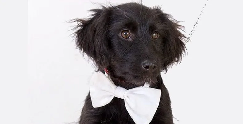 kRATKE CRTICE JEDNE DIJETE