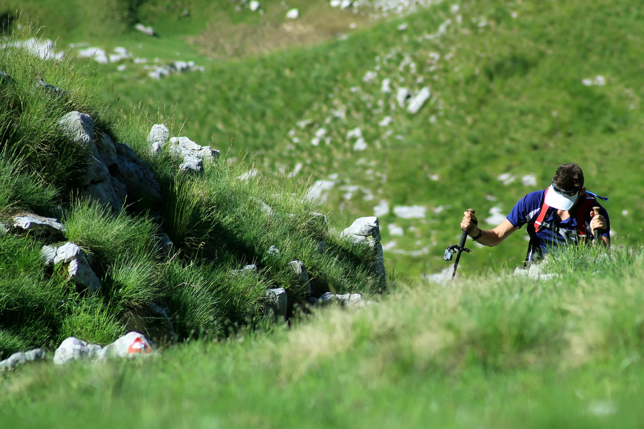 durmitor 2014 veki