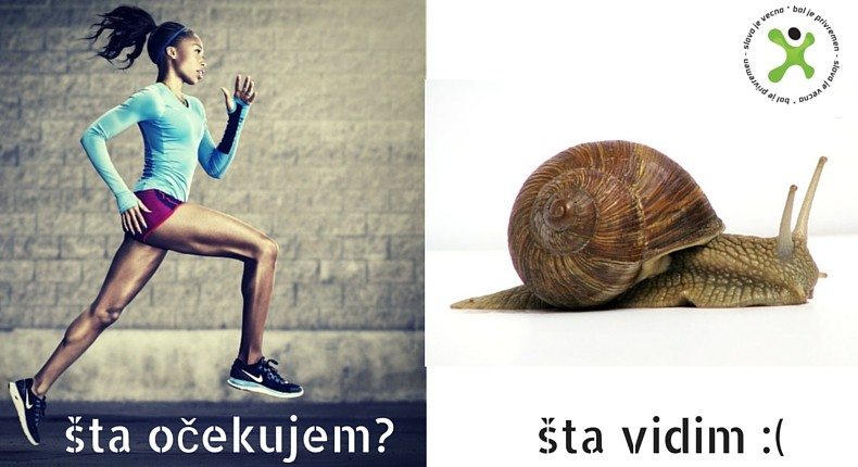 šta očekujem-