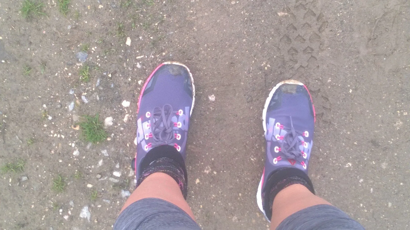 reebok zpump fusion 2.0