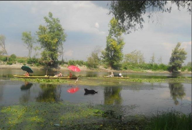 čambdzarenje dunavom