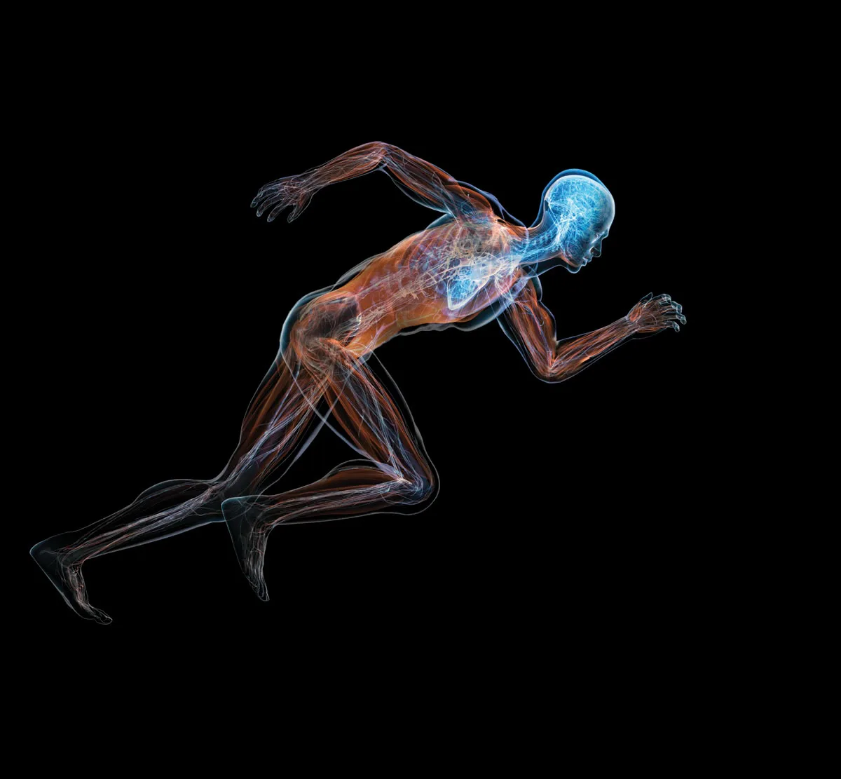 Fizička aktivnost i pamet