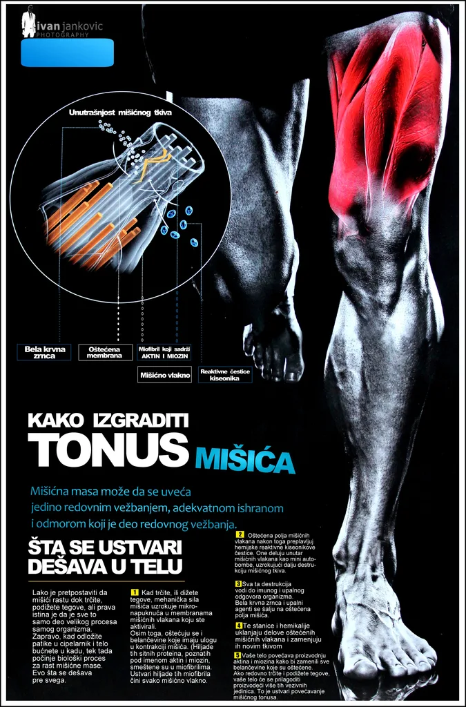 tonus mišića