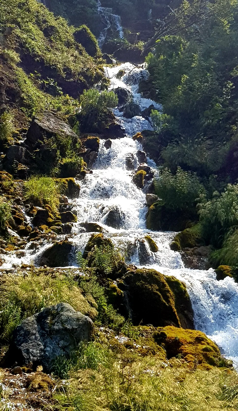 Photo credit: Slobodan Jotić