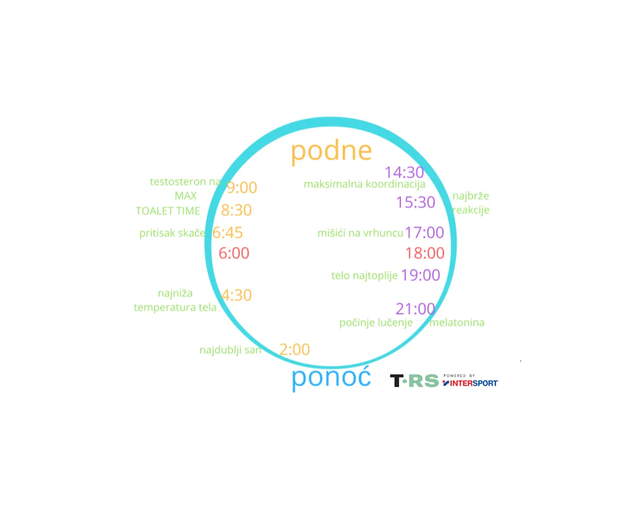 cirkadijalni ritam